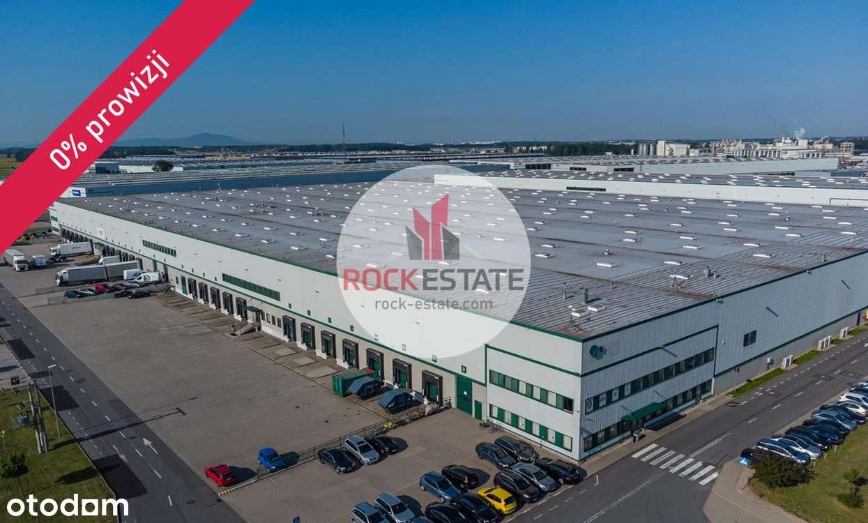 Magazyn do wynajęcia 5900 m2 Wrocław - Pełny obrazek: 4/7