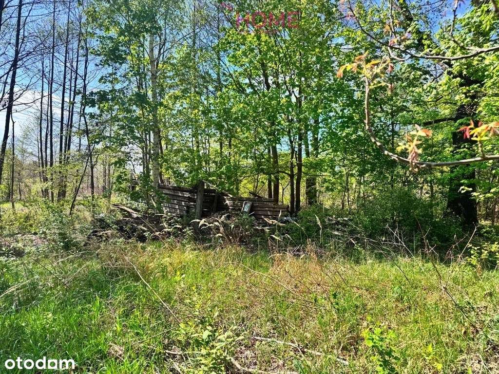 Dom na sprzedaż - Majdan Królewski 2,12ha działki-3