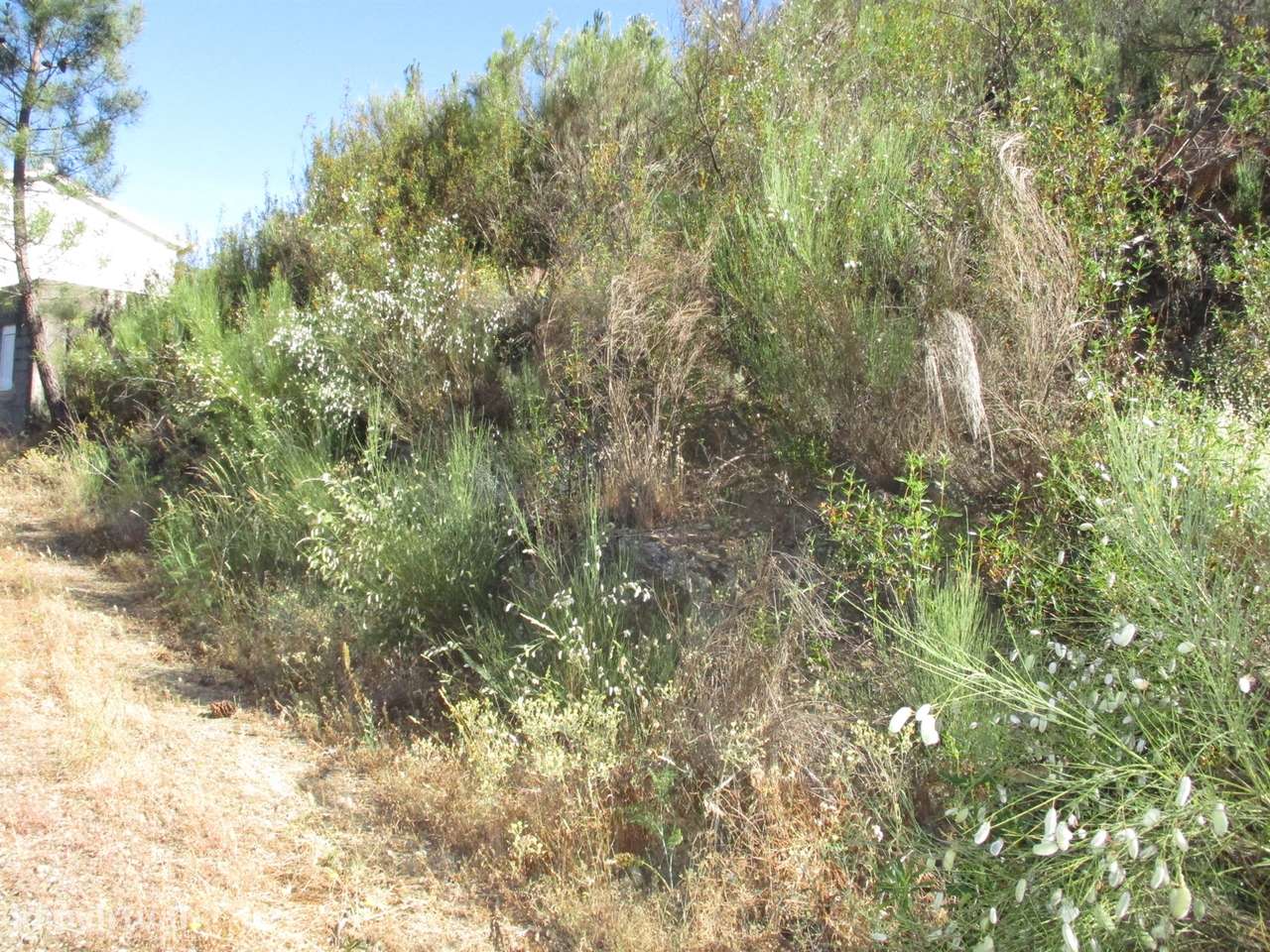 Quintinha T0 Venda em Estreito-Vilar Barroco,Oleiros-6