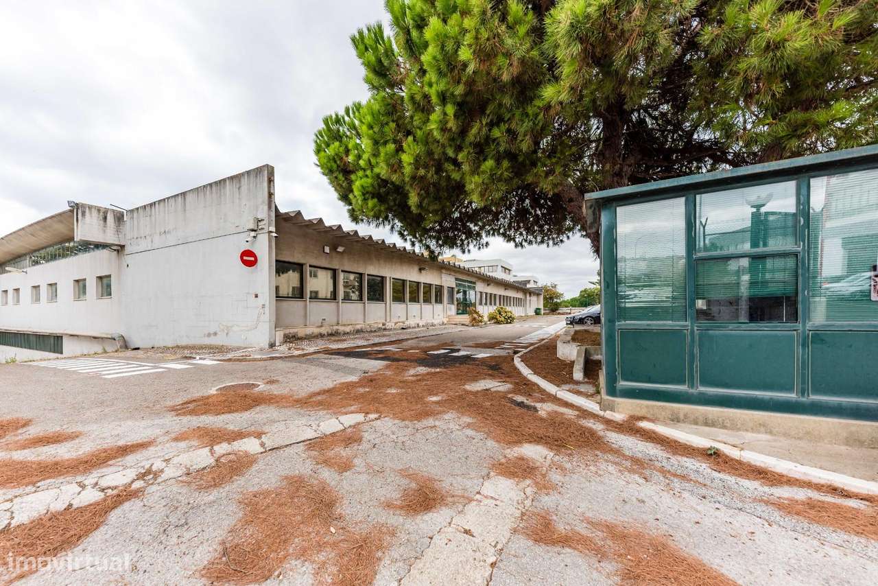 Armazém com 3 Pisos e Grande Lote de Terreno em Carnaxide-15