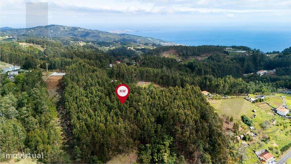 Terreno Agrícola com excelente exposição solar na Camacha  destinado à - Grande imagem: 2/15