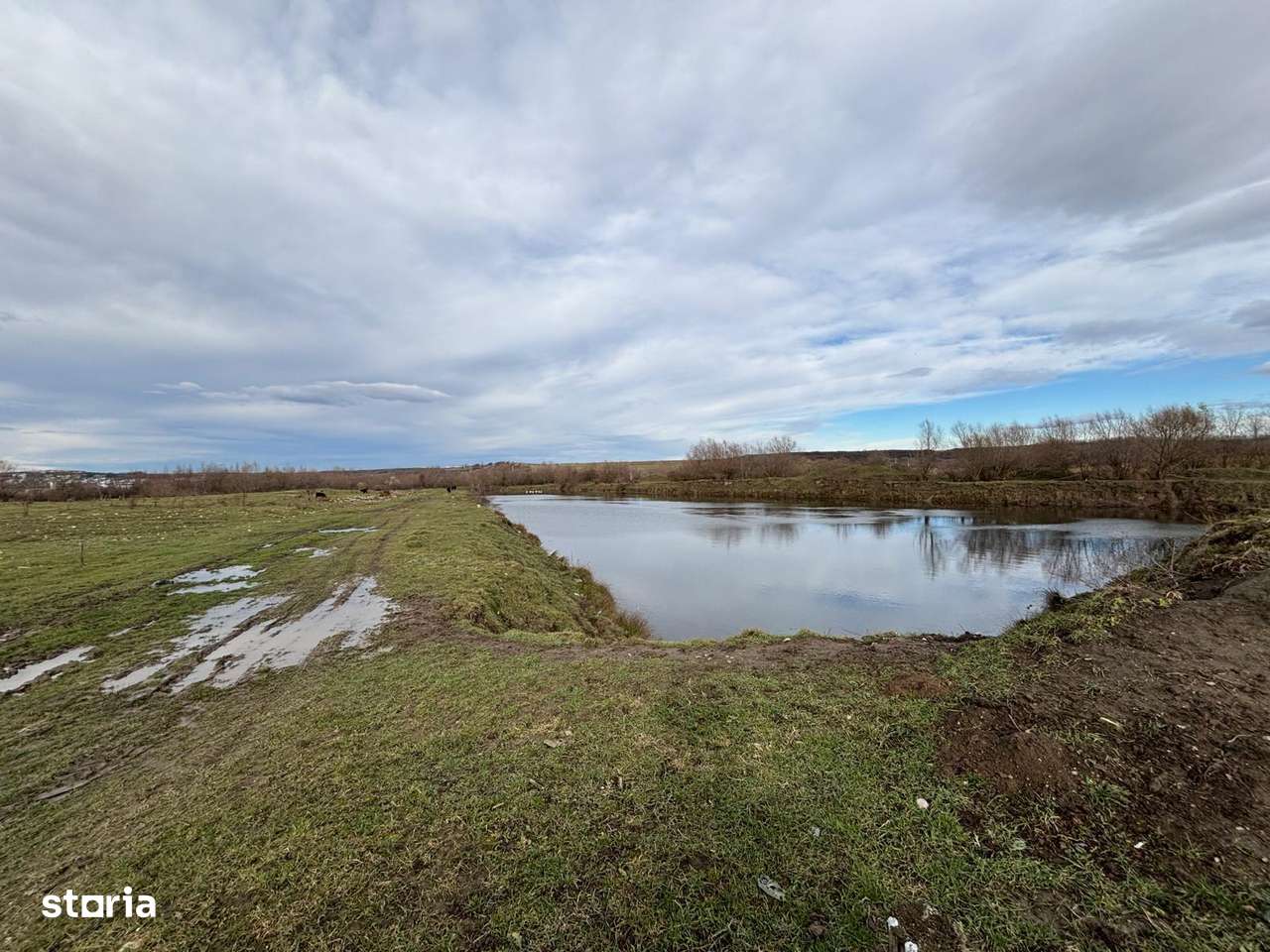 Teren extravilan 24.000 mp cu lac cu pesti zona Cristian-2