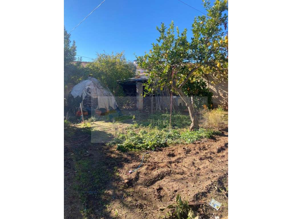 Moradia T3 com Quintal Amplo e Garagem - Oportunidade para Remodela...-11