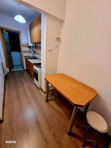 Tudor - Vanzare apartament 1 camera - Str. Ramurele-3