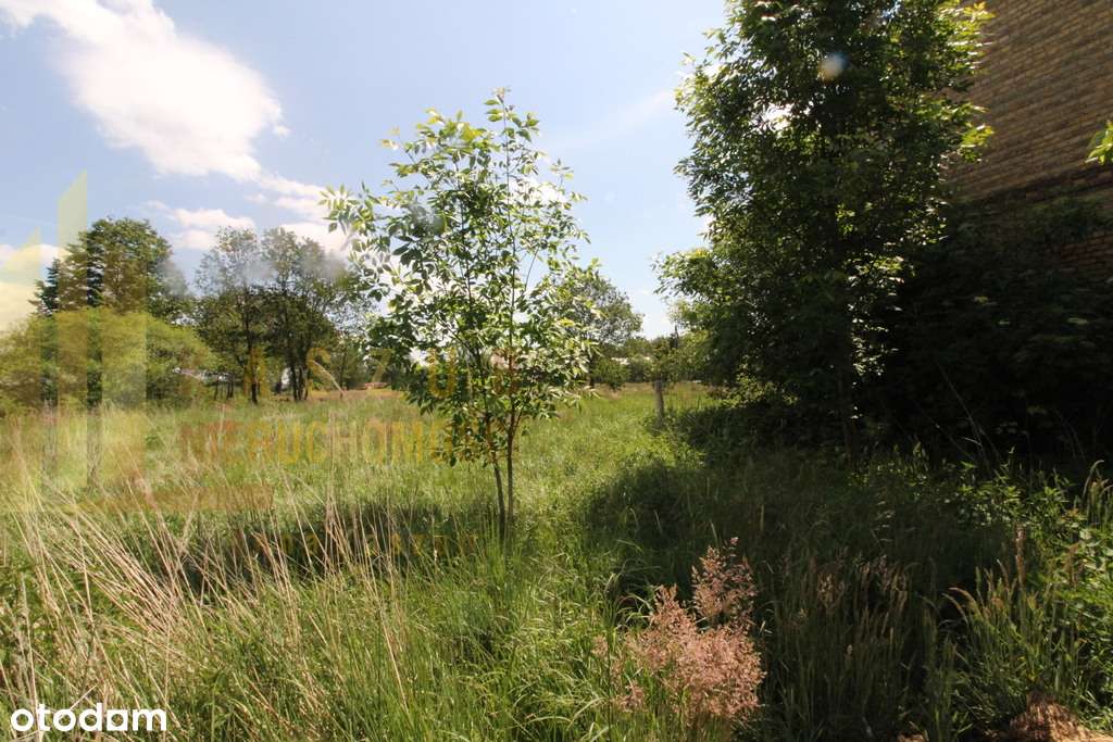 Duża działka w Grotowie - Pełny obrazek: 4/17