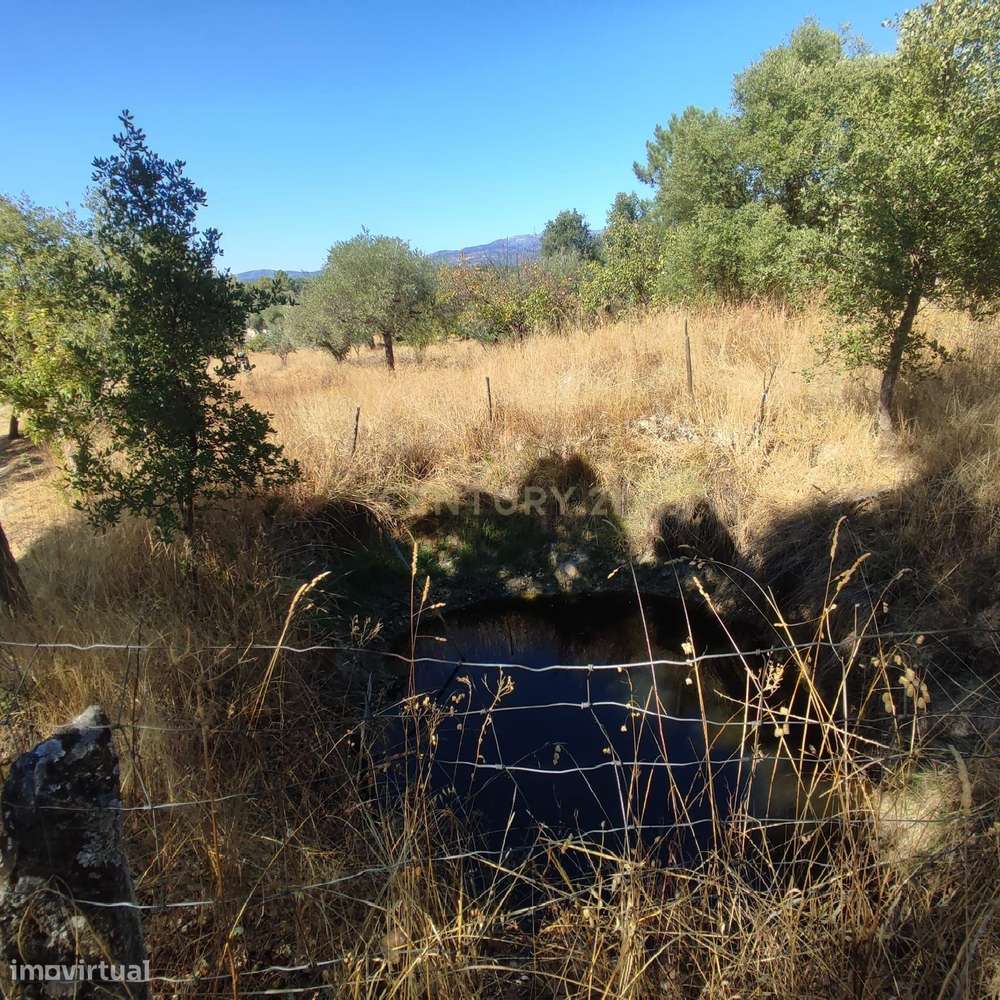 Terreno Rústico em Tinalhas, Castelo Branco - Grande imagem: 5/15