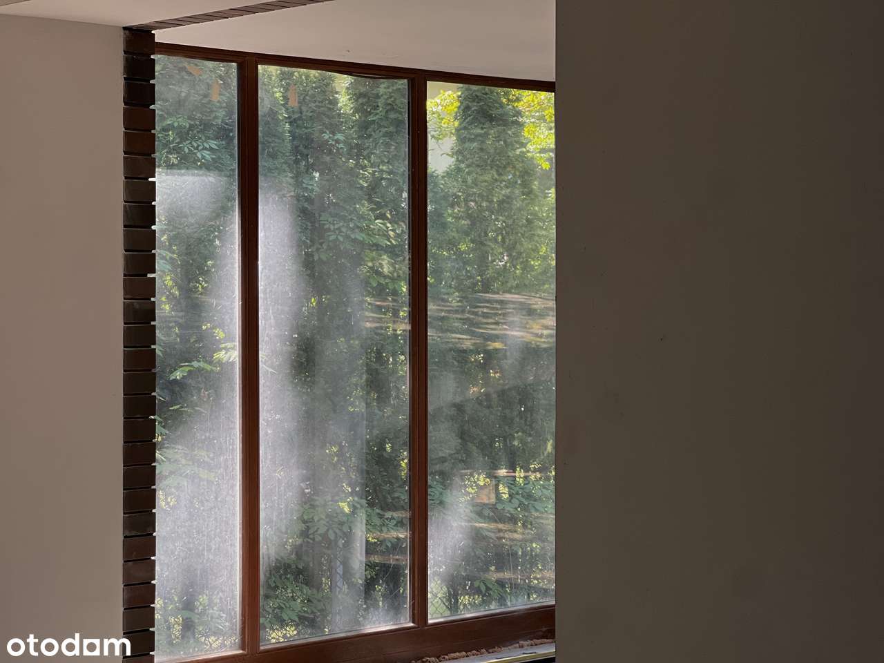 Dom | anin | zielono | cisza | basen | starodrzew | premium | Wawer-10