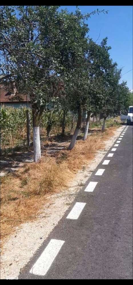 Vand Teren intravilan mare, 2706 mp. Com. Taut, Jud. Arad.Comision 0. - Imagine principală: 1/9