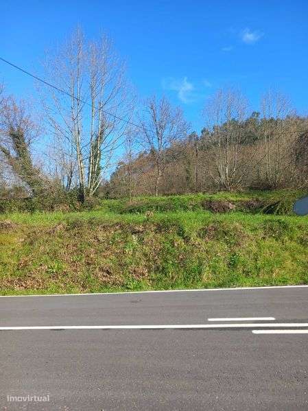 Terreno ideal para horto/viveiro de plantas - Grande imagem: 5/6