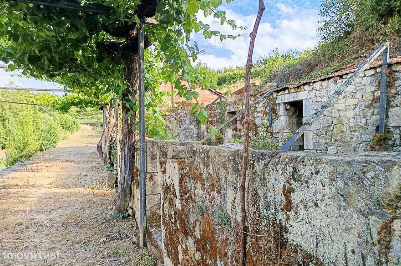 Quinta do Mosteiro de Salzedas com mais 17 ha e património histórico-13
