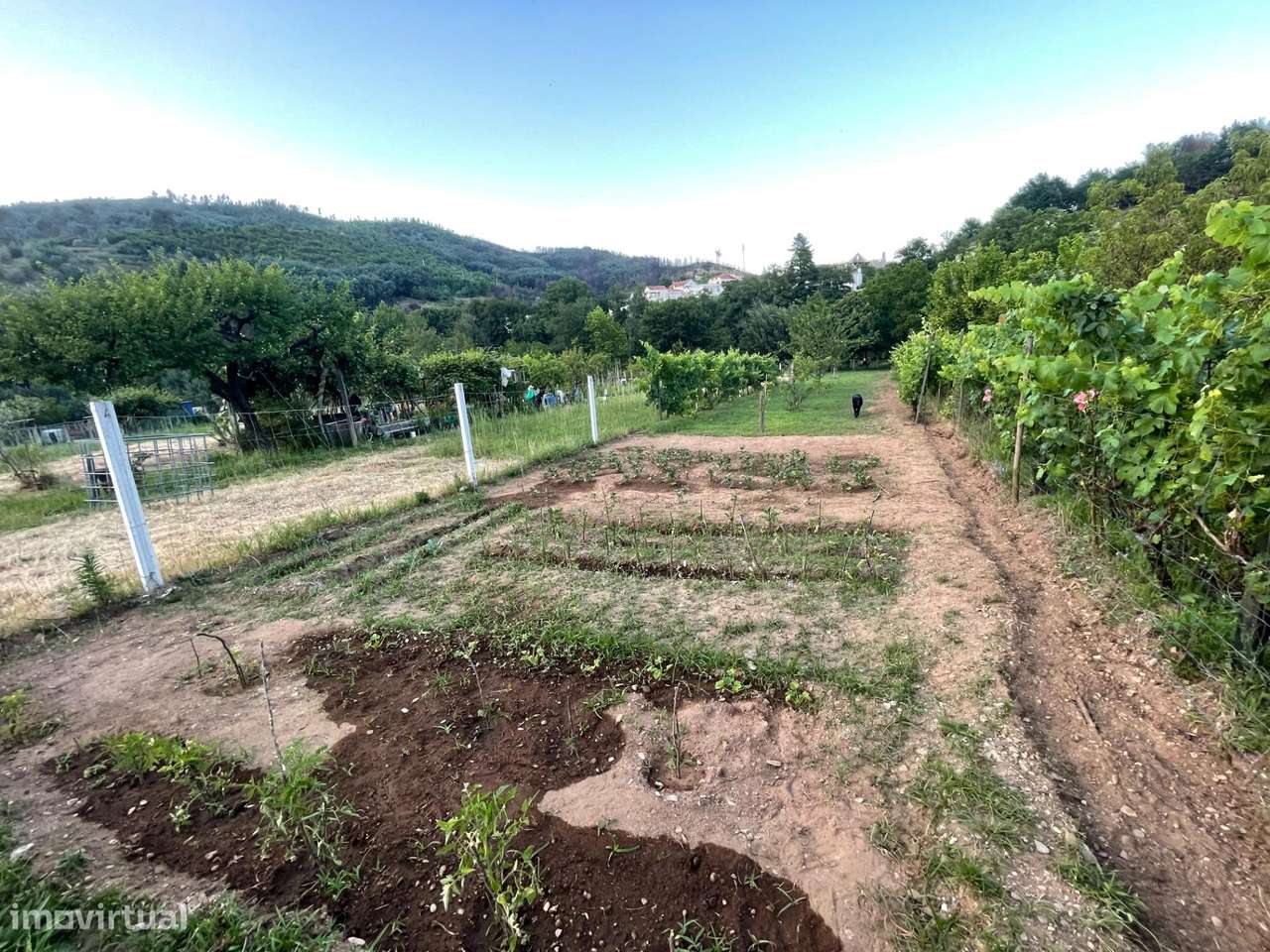 Refúgio de Verão junto ao Rio Alva-6
