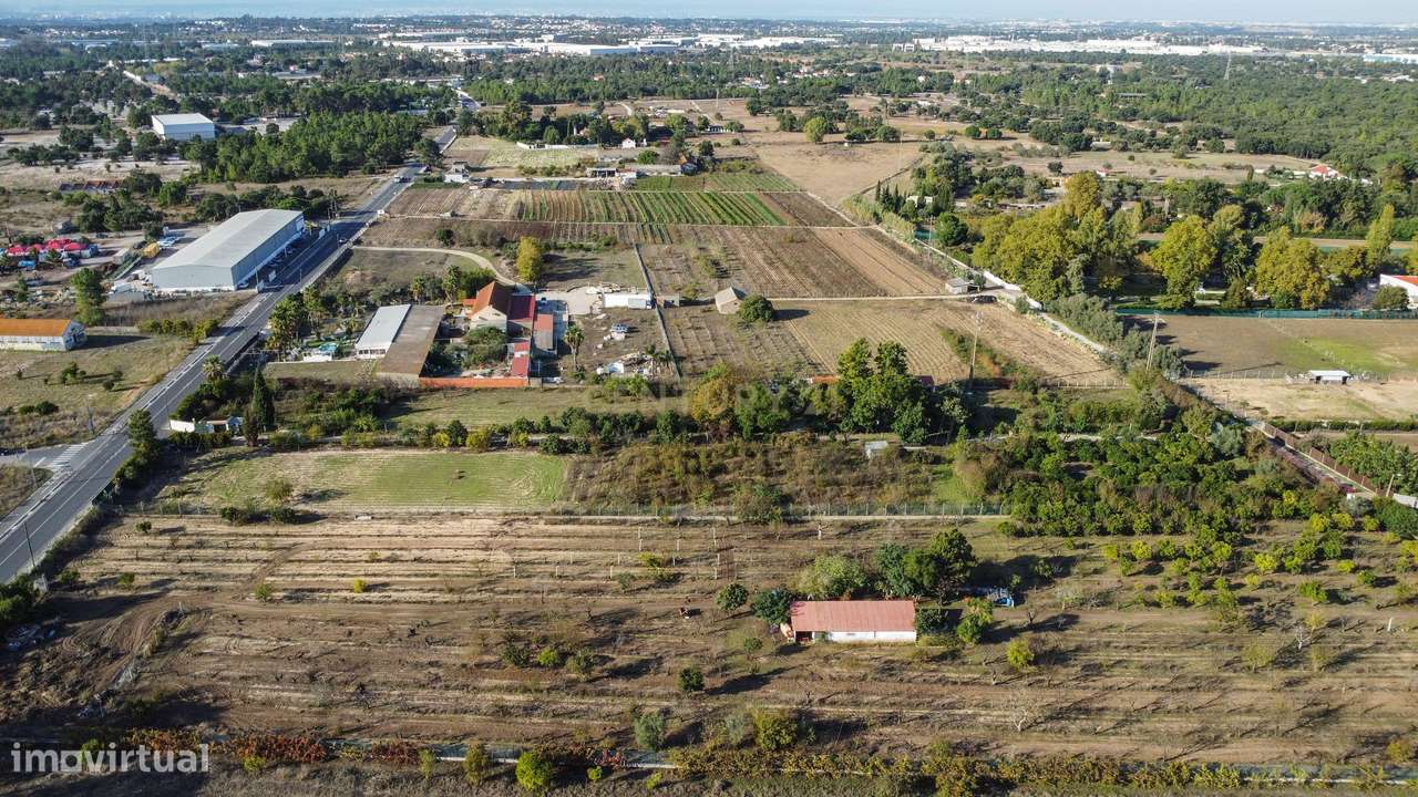 Terreno Rústico em Quinta do Anjo, Palmela - 11.800m2-12