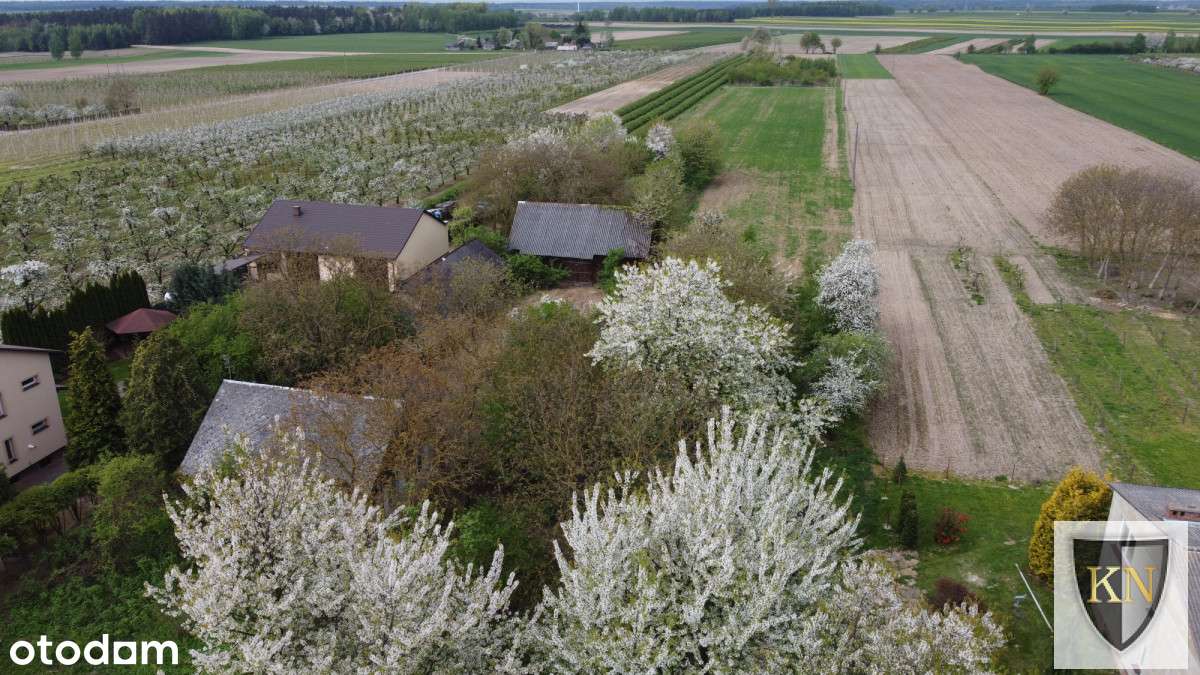 Siedlisko z zabudowaniami-12