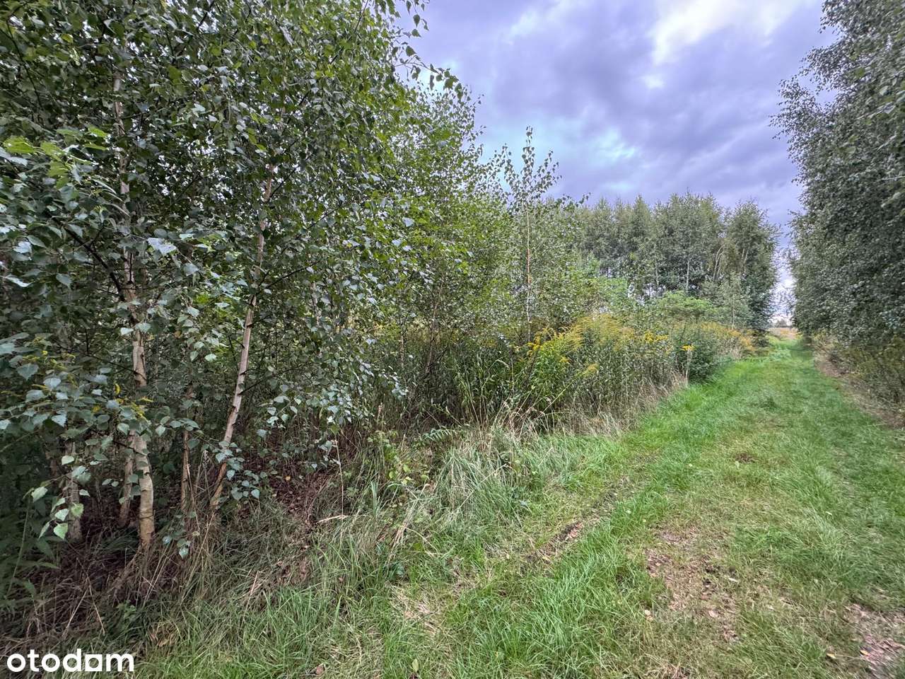 Dachowa | Dwie działki budowlane, łacznie  1552 m² z MPZP-11