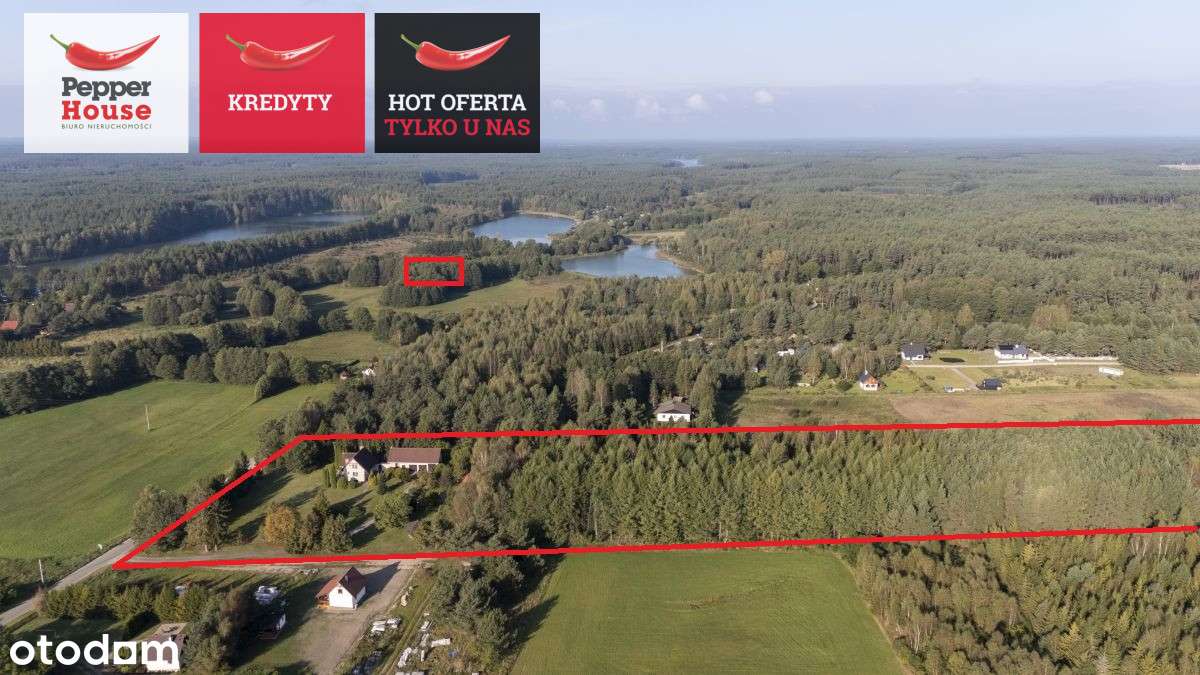 Piękna Działka Z Domem i Lasem W Sercu Kaszub! - Pełny obrazek: 4/20
