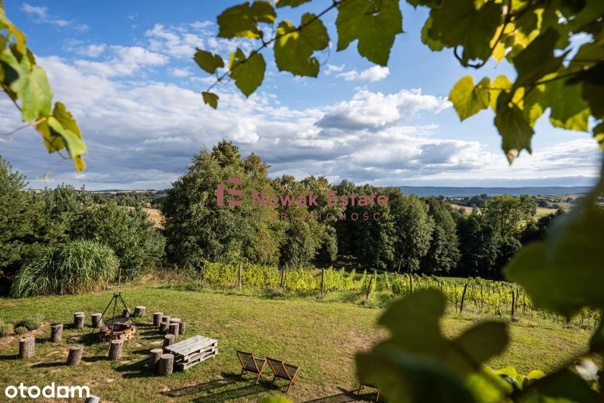 Winnica & Agroturystyka | gotowy biznes-1