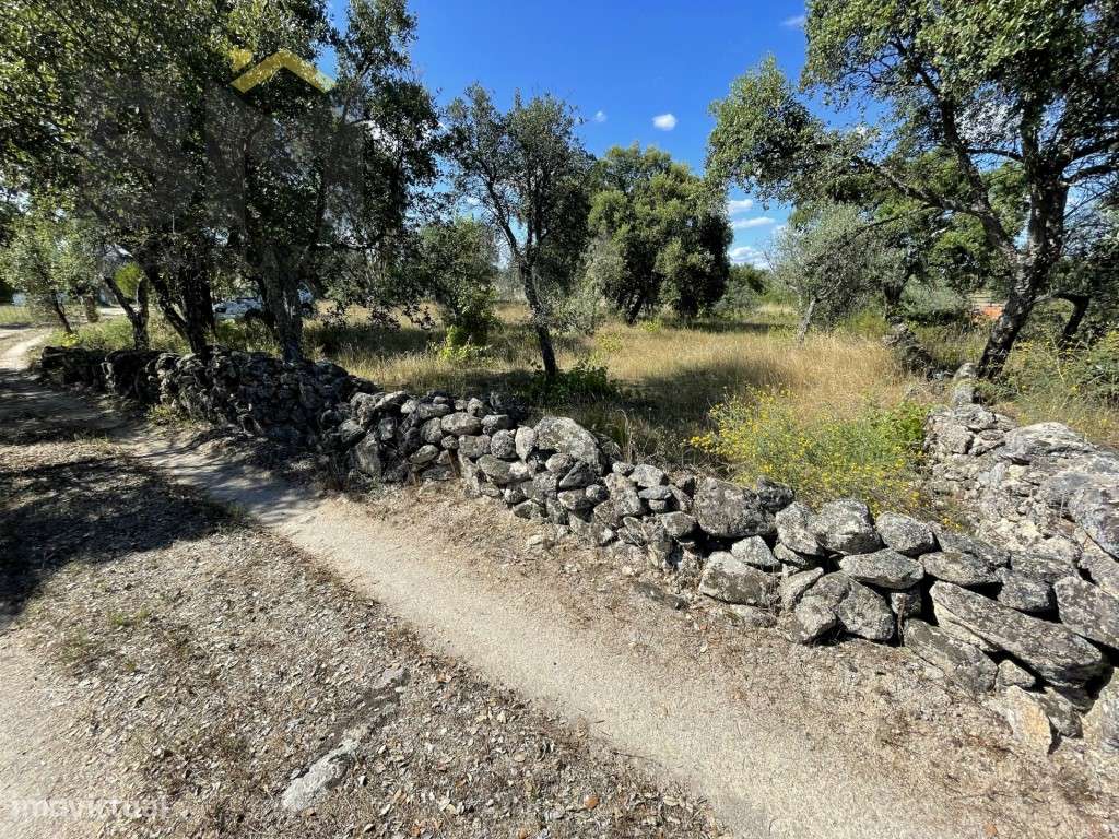 Refúgio Off-Grid no meio da Natureza: Terreno de 3000 m² com Recurs... - Grande imagem: 4/27