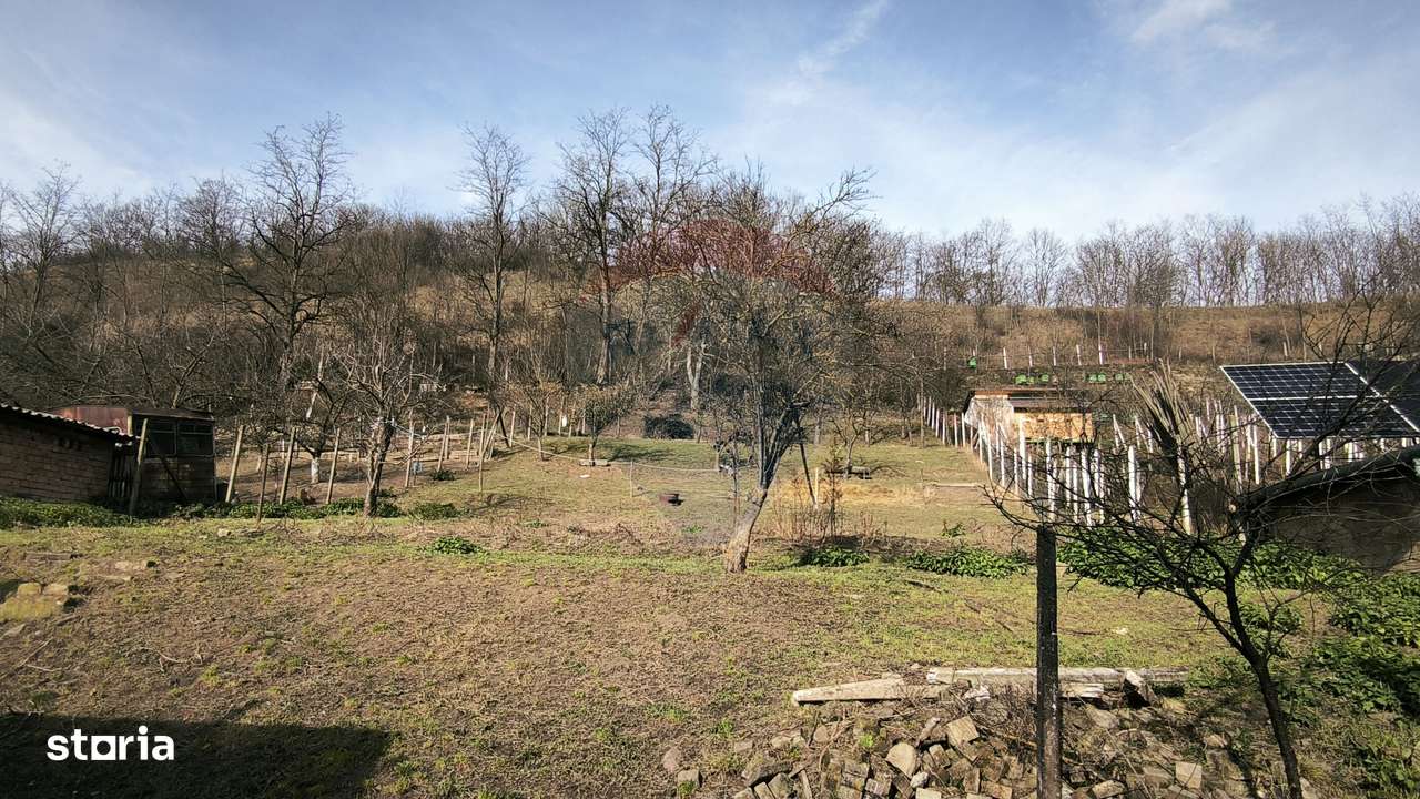 Casă  la țară in Transilvania - sat sasesc Păucea, jud. Sibiu-10