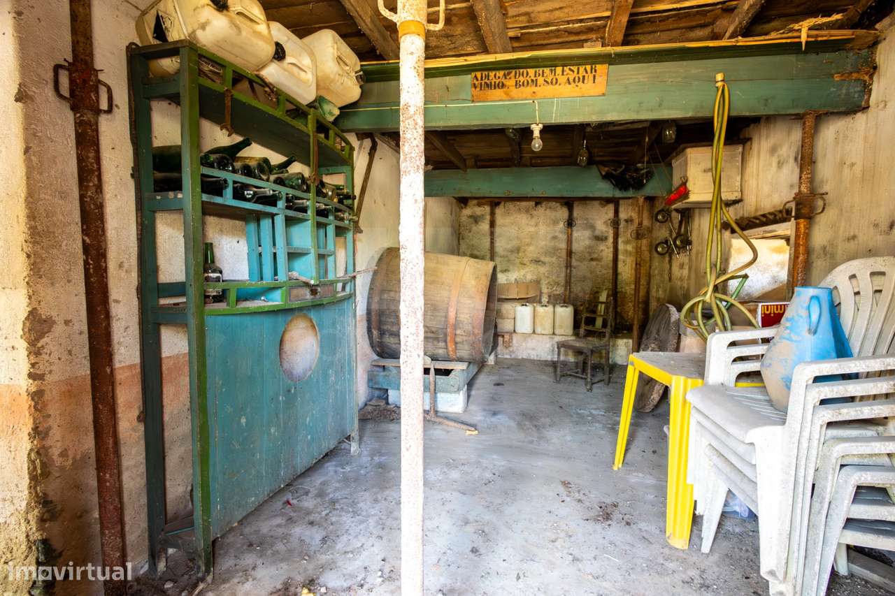 PROPRIEDADE DE CARÁTER NA N2 | 400 m² DE CONSTRUÇÃO, OLIVAL E POTEN...-3
