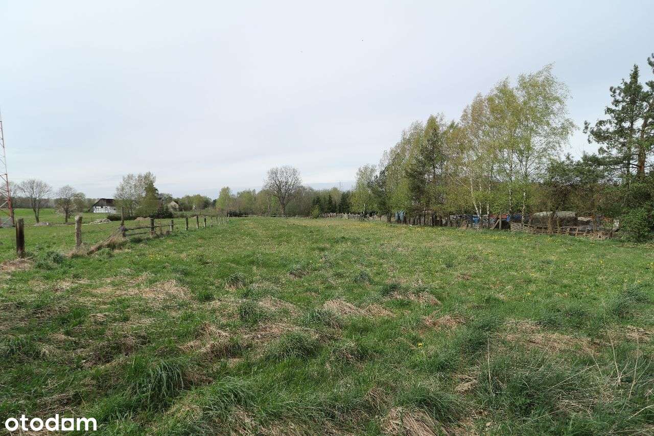 Działka budowlano - rolna, pow. 0,43 ha, BIERKOWO - Pełny obrazek: 5/14