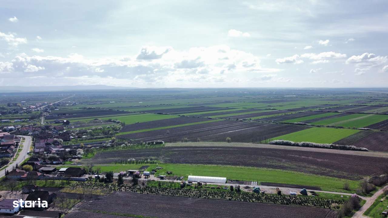 Teren intravilan 729 mp-8