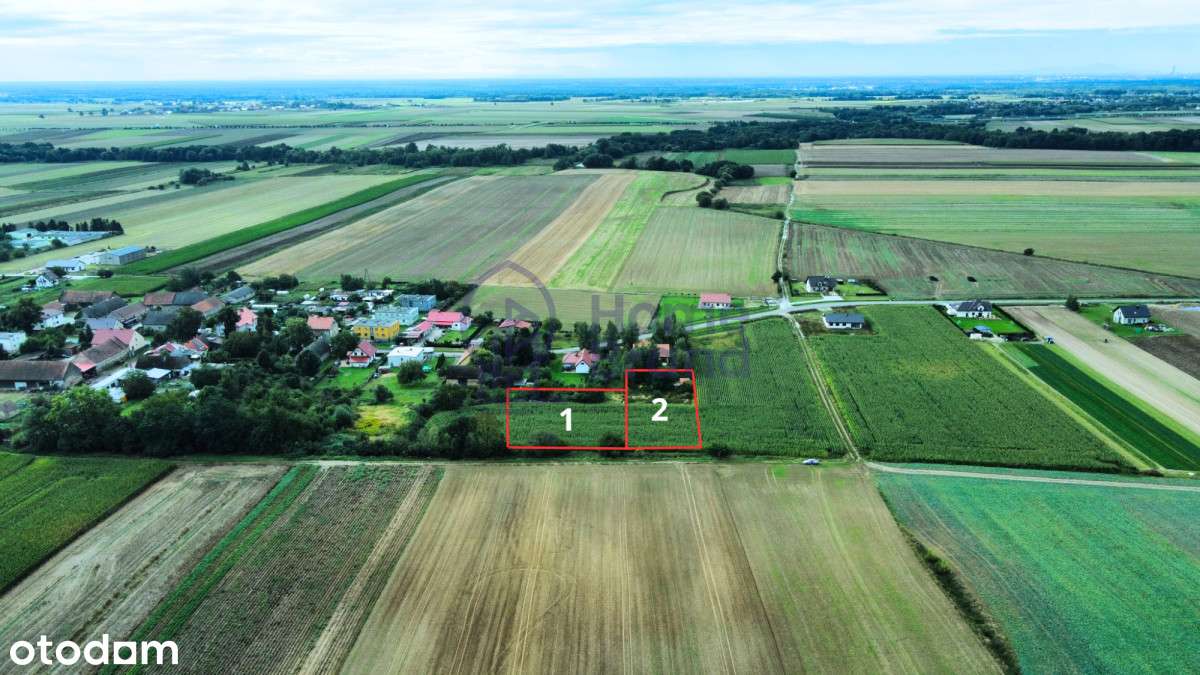 10 minut od Oleśnicy| Prąd na działce| - Pełny obrazek: 4/5