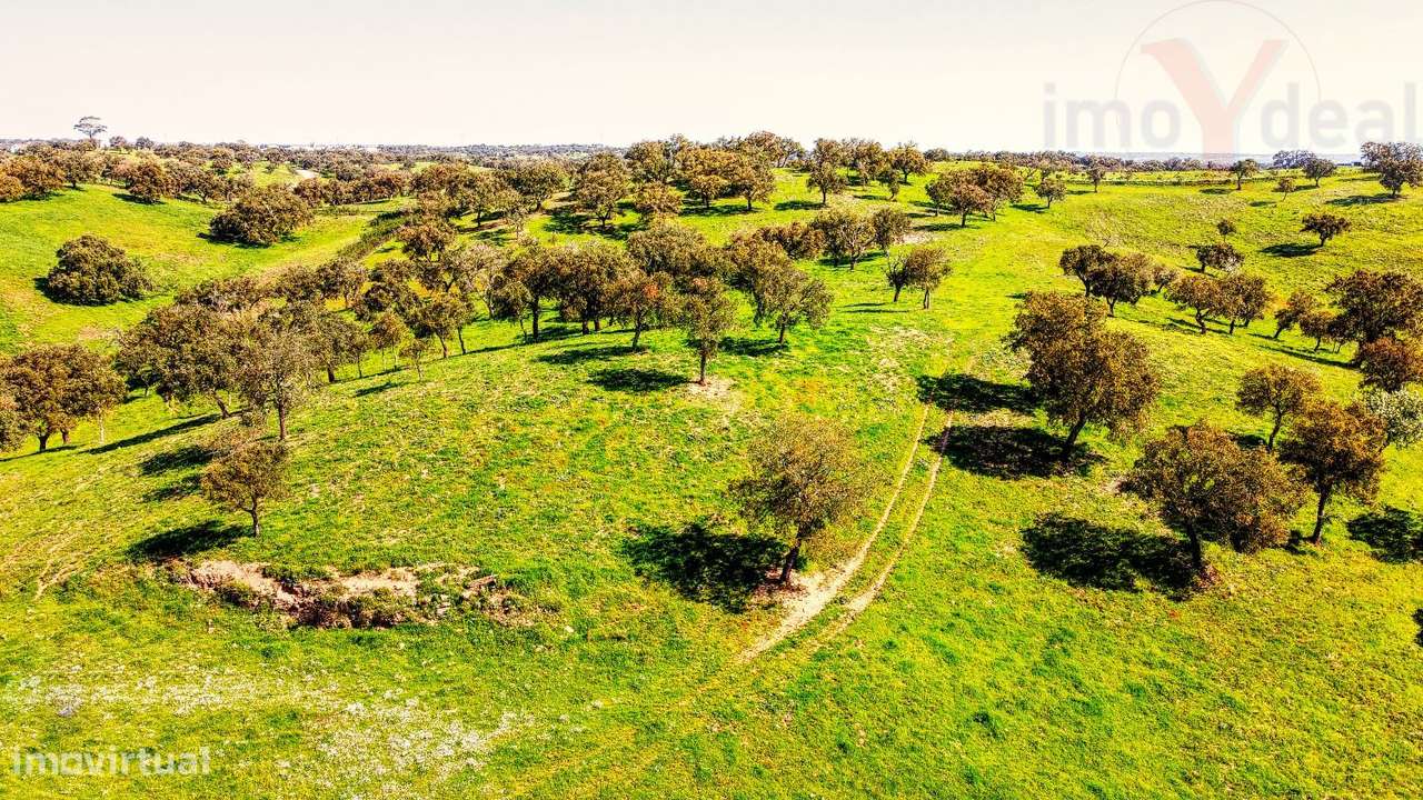 TERRENO EM S.BARTOLOMEU DA SERRA-9