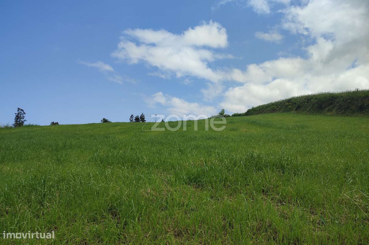 Terrenos Contíguos com Vista Mar na Algarvia, Nordeste - Grande imagem: 1/13
