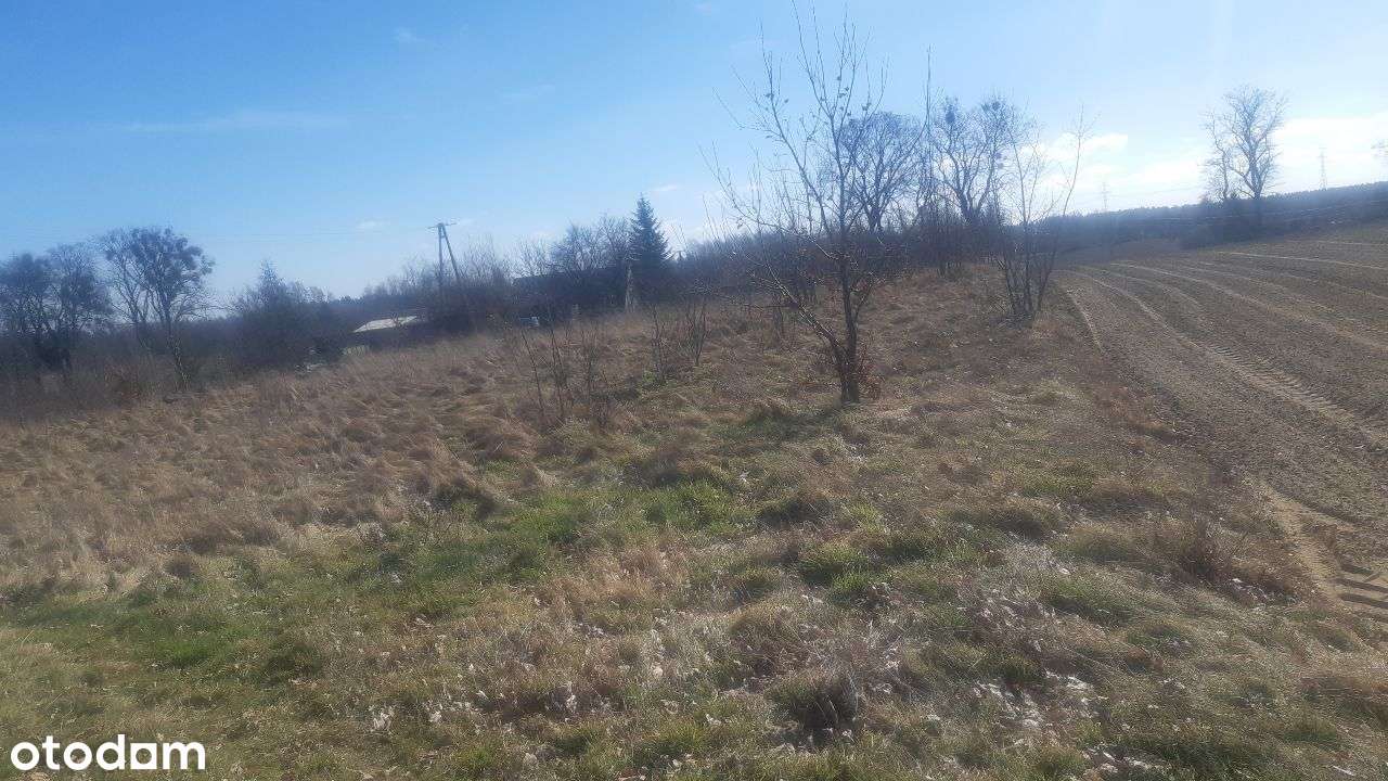 siedlisko rolnicze dom, możliwy podział - Pełny obrazek: 4/6