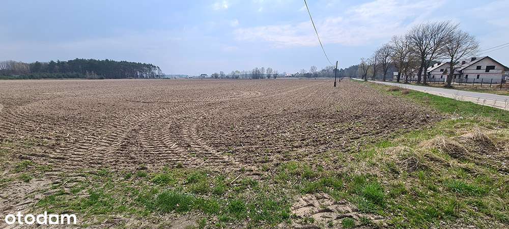 Toporzysko Prowizja 0%-4