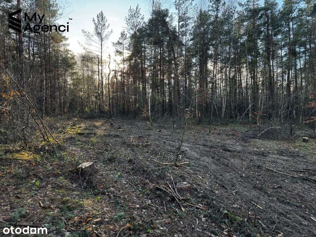 Lewino, ul. Lipowa - działki na sprzedaż-12