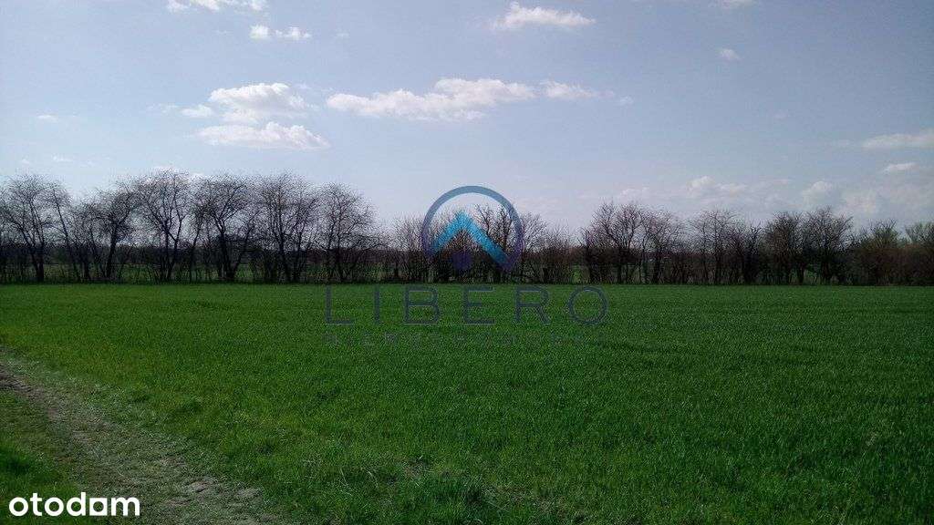 Kacice działka 4158 m2 Wz na 3 budynki mieszkalne - Pełny obrazek: 2/9