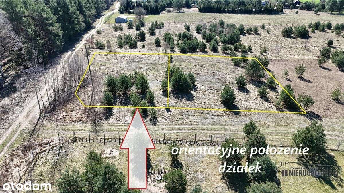 Działka pod lasem w pobliżu jeziora - Pełny obrazek: 4/20