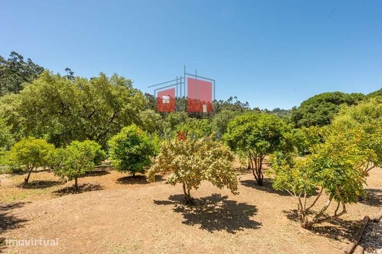 Moradia térrea T3 com terreno de 5,056m2-6
