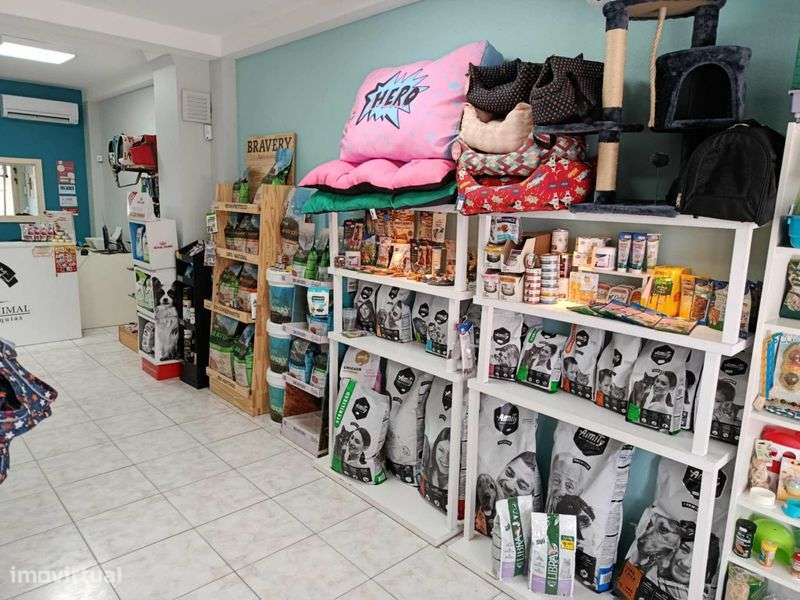 TRESPASSE de Loja Petshop & Banhos e Tosquias em Chaves - Grande imagem: 5/7