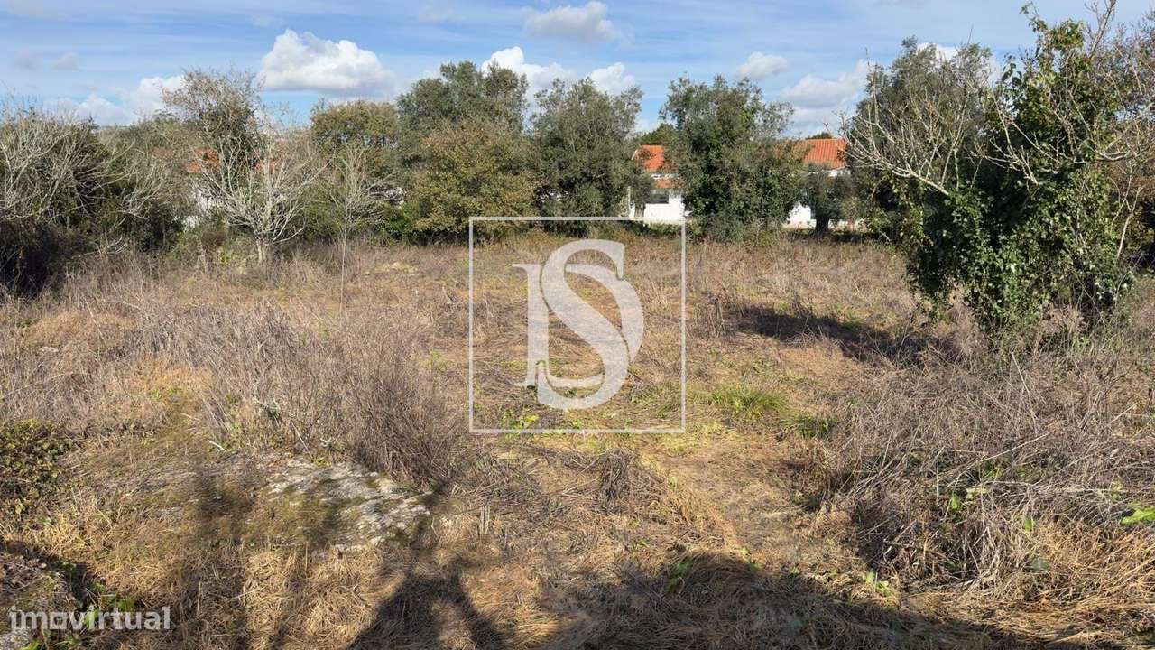 Moradia Tradicional com Terreno em Turquel (Alcobaça)-20