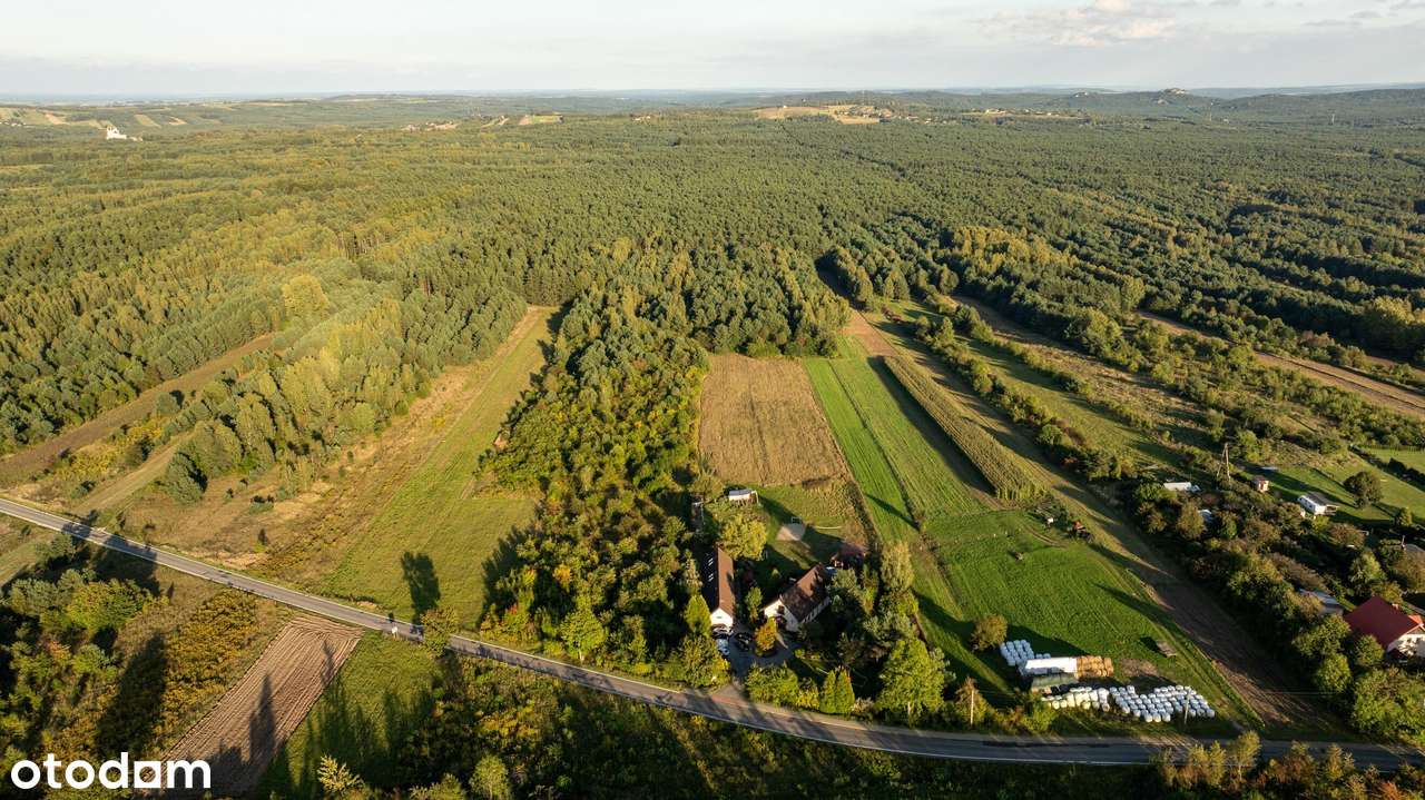 Agroturystyka w sercu Jury - Pełny obrazek: 4/20