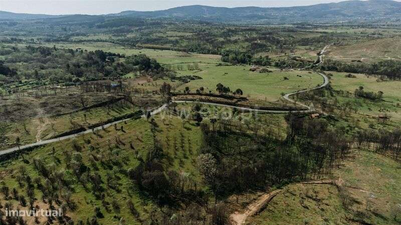 Terreno Rústico / Fundão, Pêro Viseu - Grande imagem: 5/16