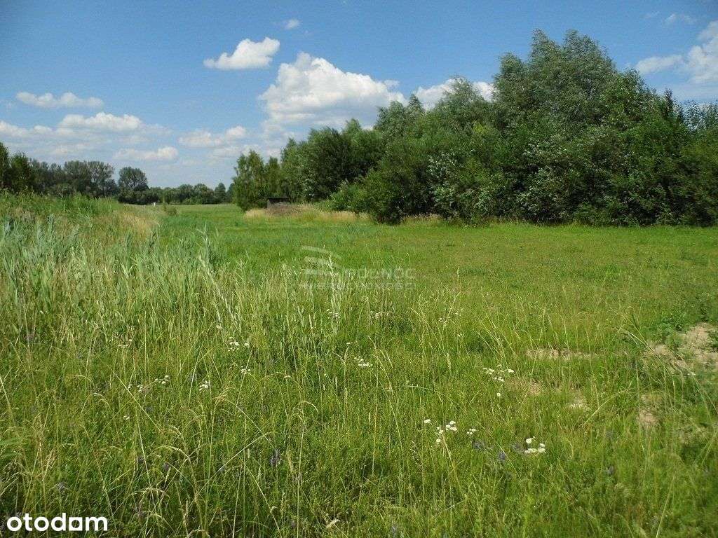 Działka gm. Turośń Kościelna - Pełny obrazek: 4/4