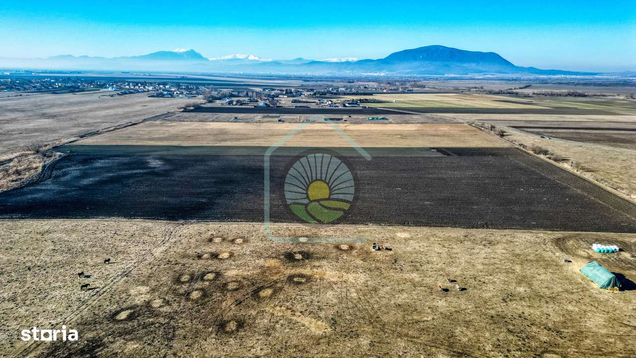 TEREN STUPINI-COMISION 0 - Imagine principală: 4/7