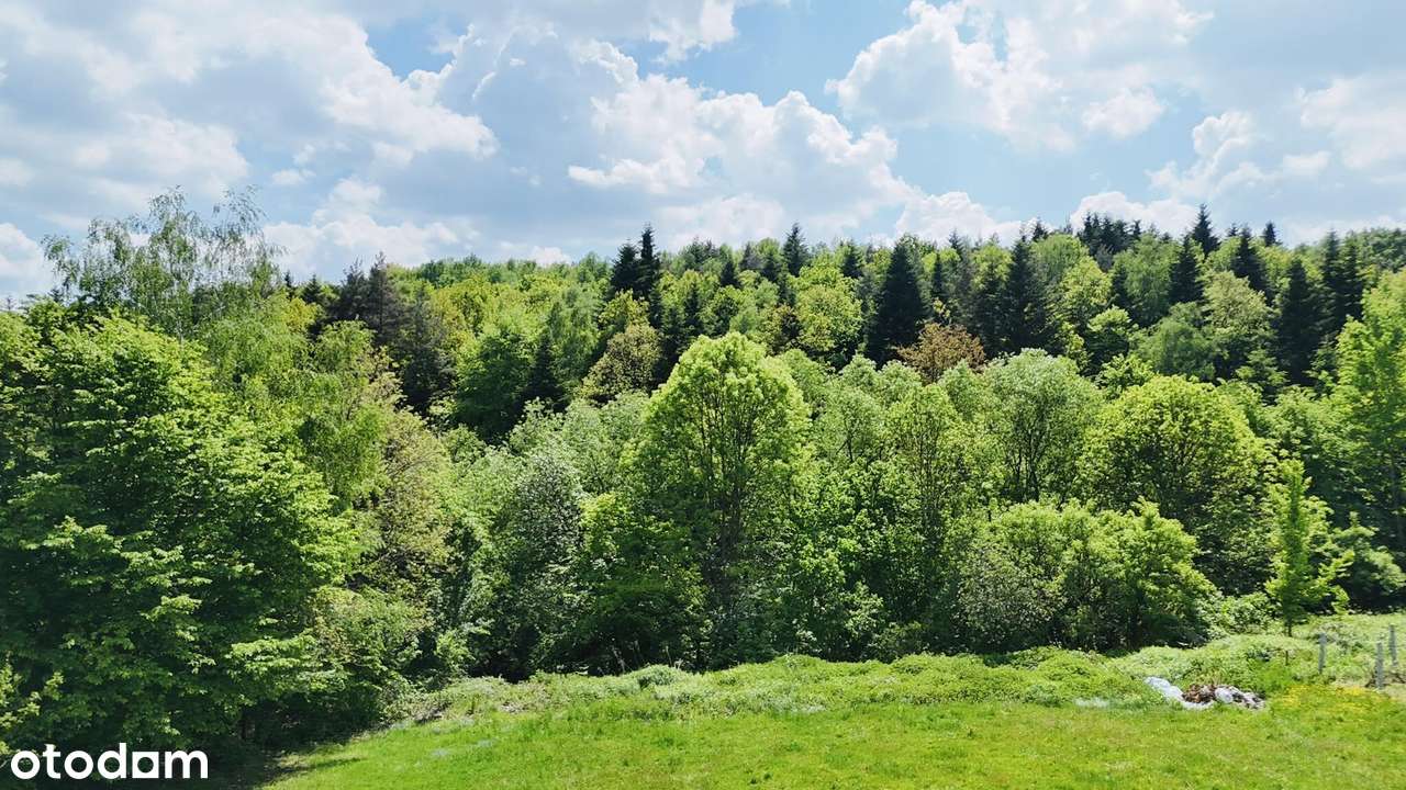 Dom w stanie surowym otwartym - Czchów-8