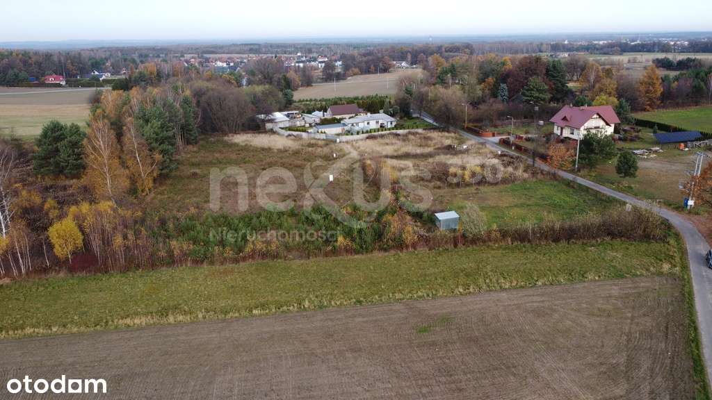 Blisko innych zabudowań a z drugiej strony las - Pełny obrazek: 5/7