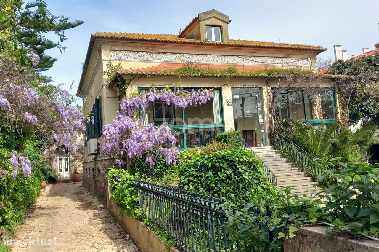 Moradia Familiar com Charme - Grande imagem: 2/21