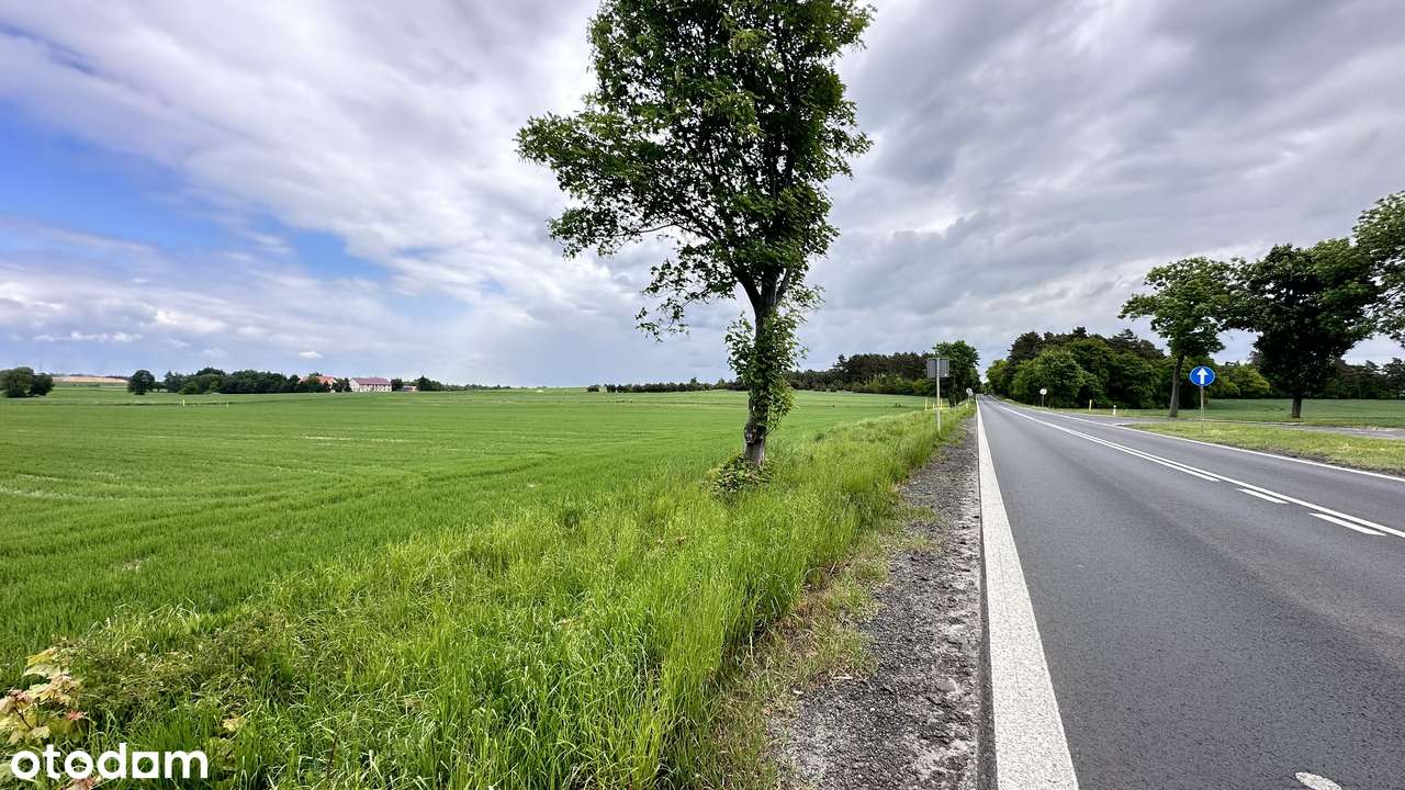 Działka rolna pod inwestycję ! - Pełny obrazek: 5/6