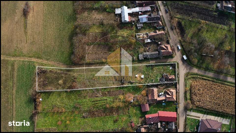 Teren intravilan de vanzare – Dipsa - Imagine principală: 4/5