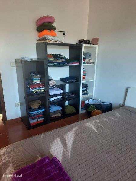 T1 Arrenda campo de Ourique - Grande imagem: 5/5