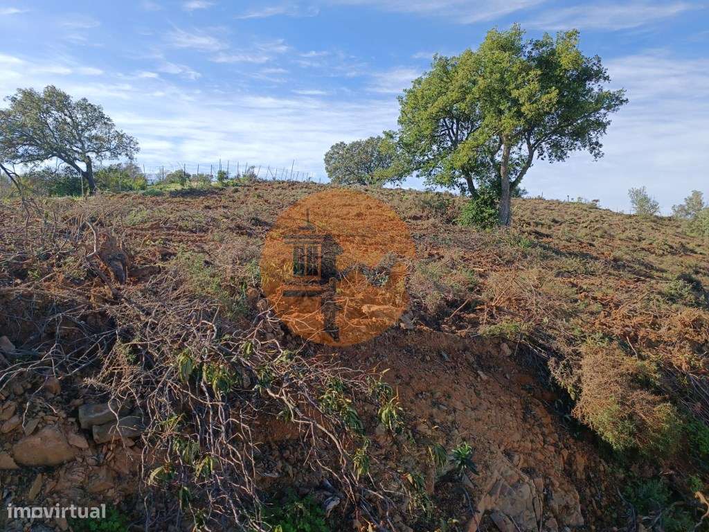 TERRENO RÚSTICO COM 19.280 M2 - VISTA LAGO - ALCARIAS GRANDES - CAS... - Grande imagem: 4/38