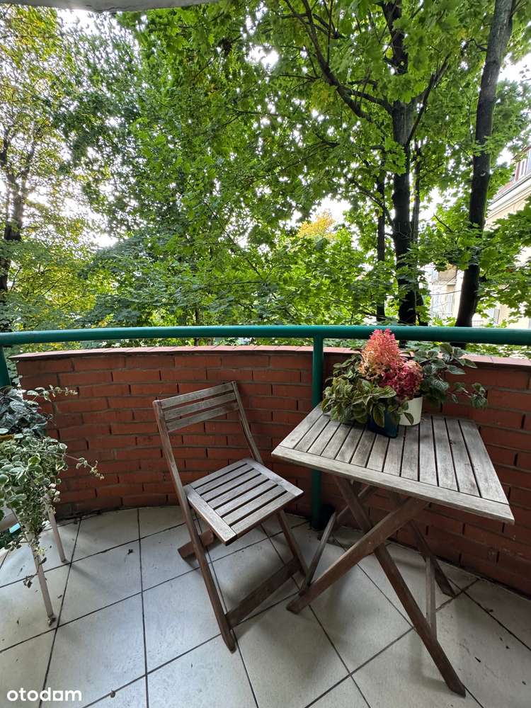 Nowość, Szamarzewskiego 2 pokoje-12