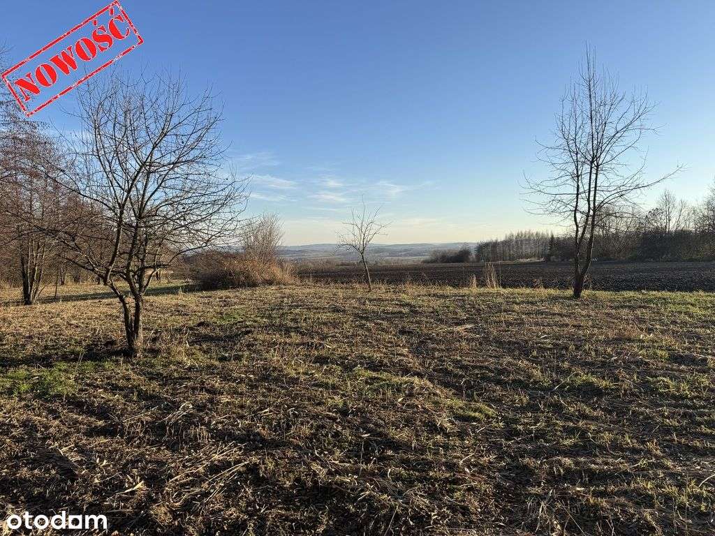 Działka budowlana 8500m2 (Ml), Słupice-5