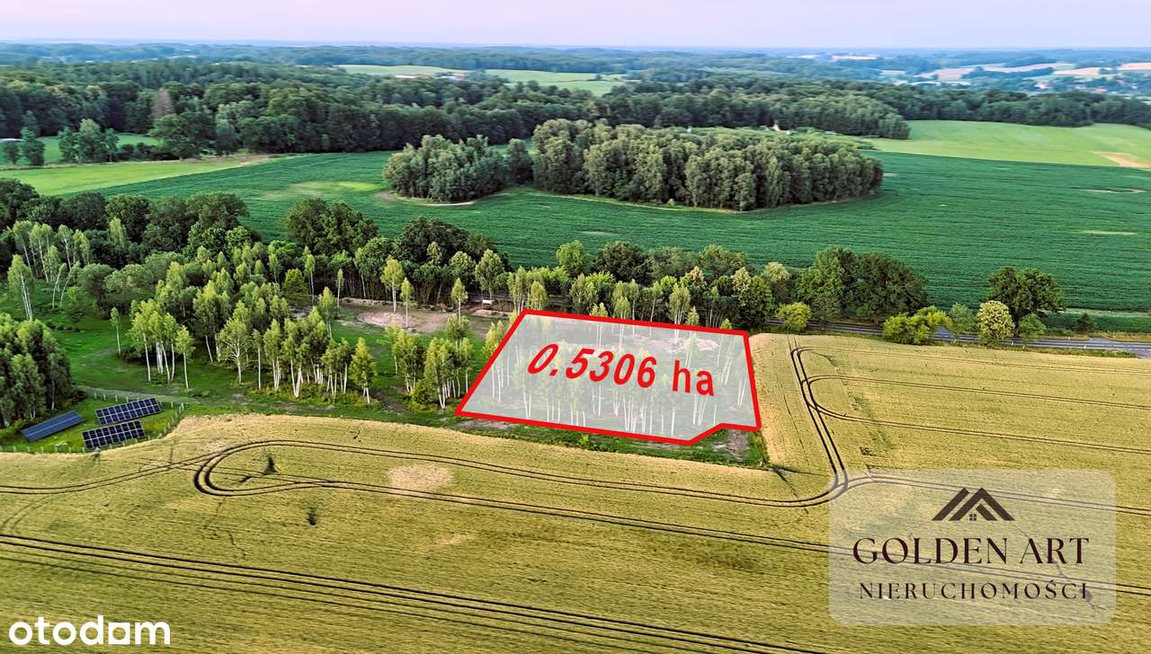Działka na sprzedaż: Gmina Pasłęk | 5306 m² | WZ | Oczko wodne-9